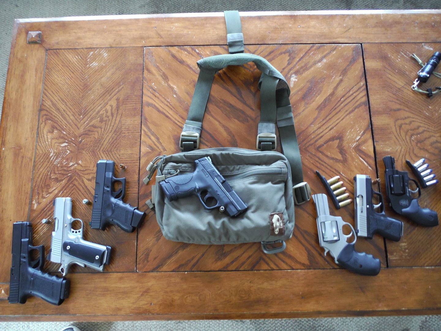 Backpack/hiking holster